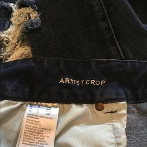 American Eagle artist cropped jeans. Size 18